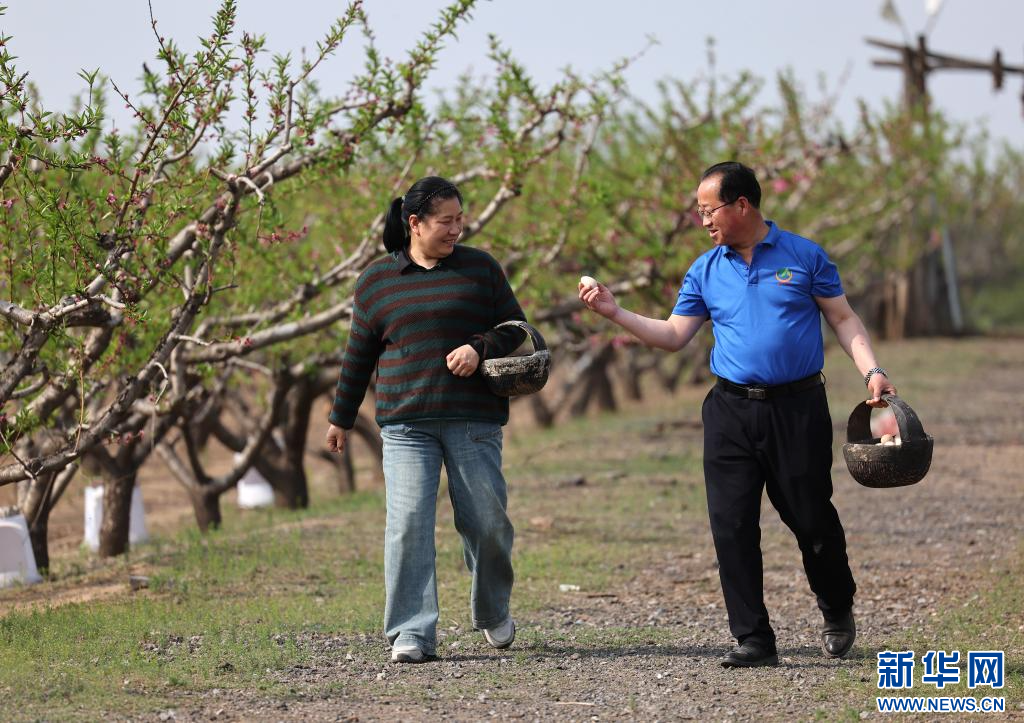 新农人夫妇“沙窝窝”里打造生态农