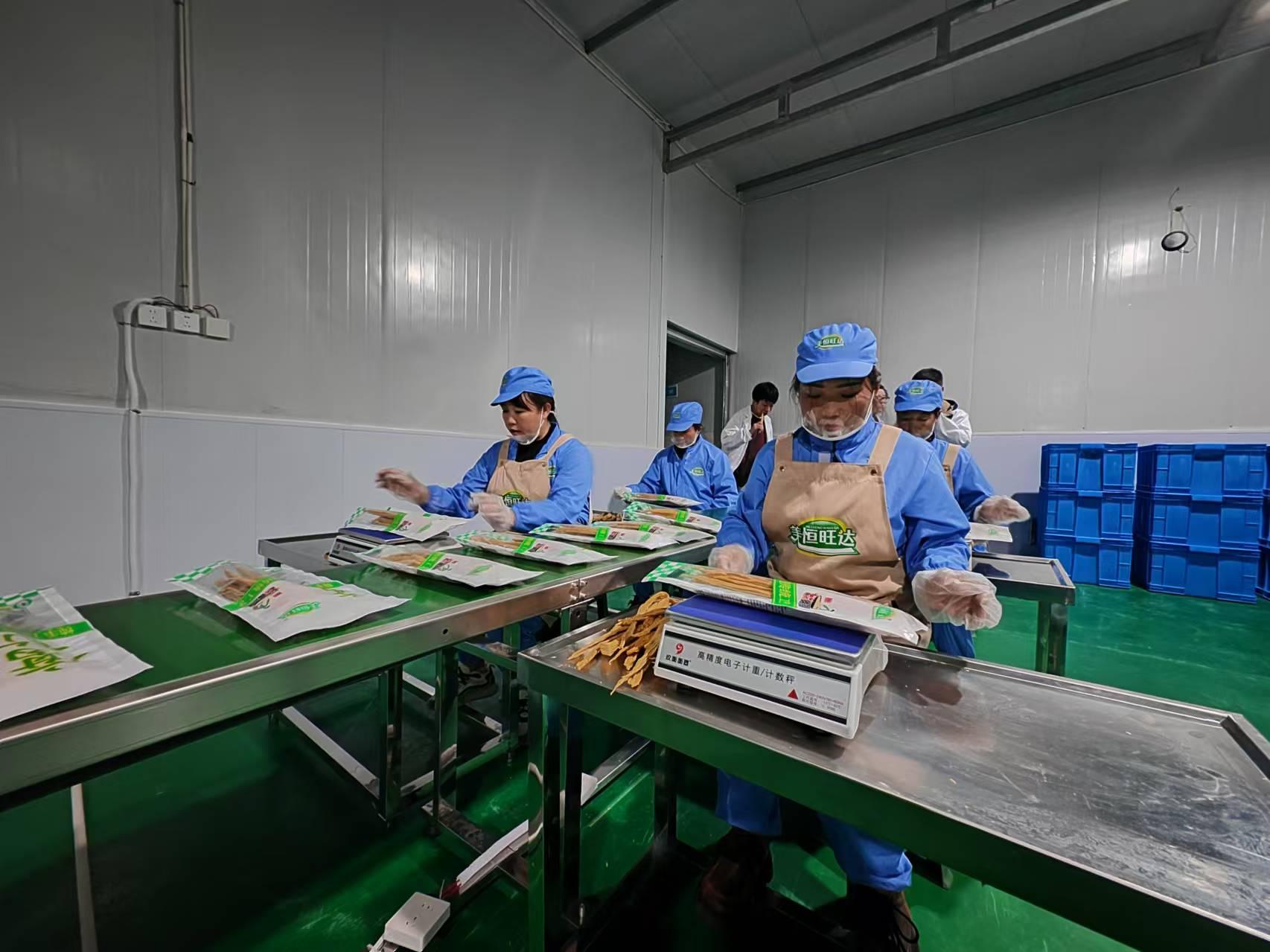 煤电产业“混搭”现代农业 安塞将