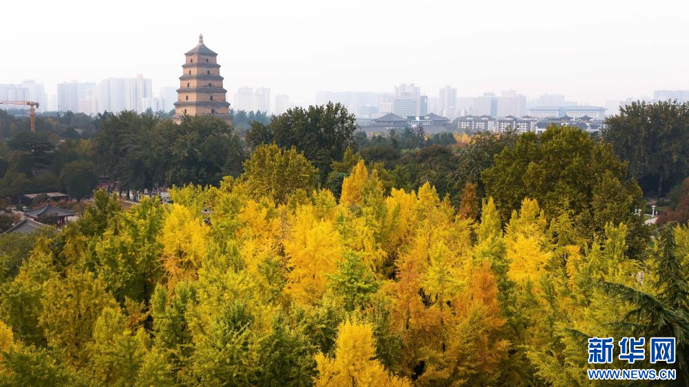 新华全媒+·四季中国｜古都韵味：