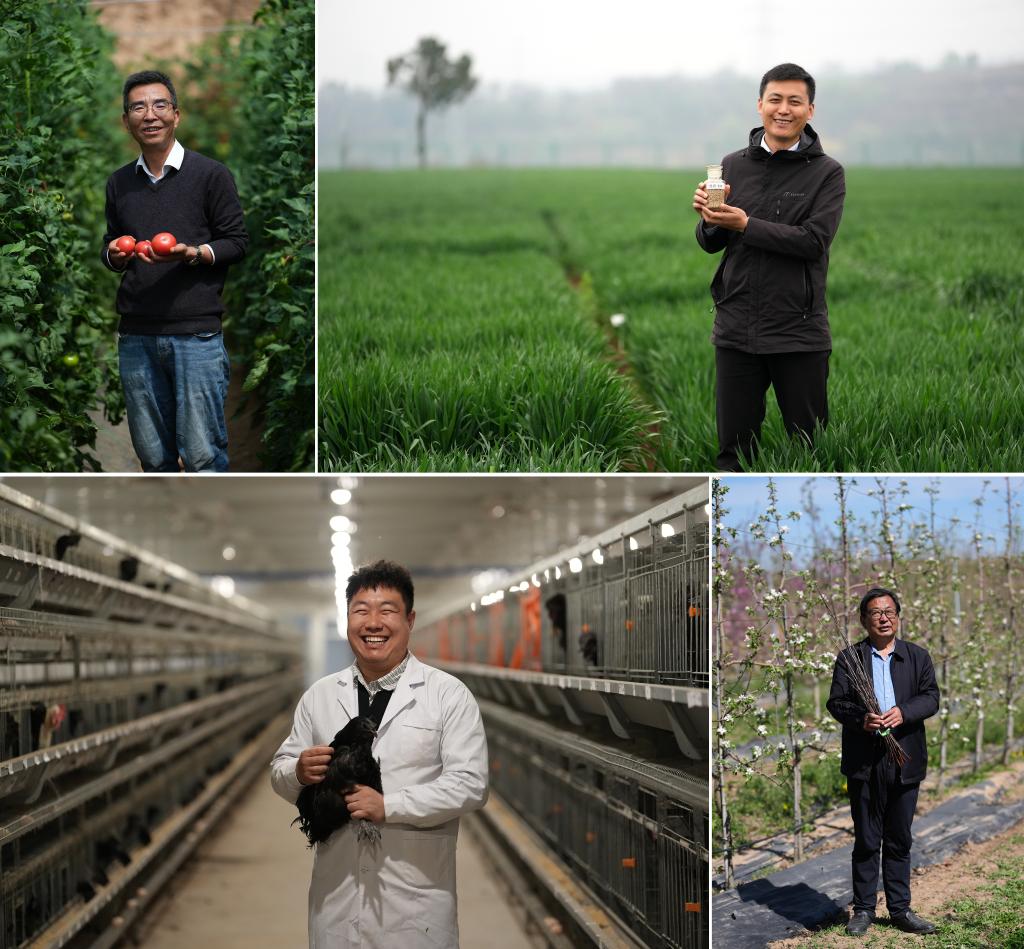 三秦“农科前哨”助农兴农-近年来