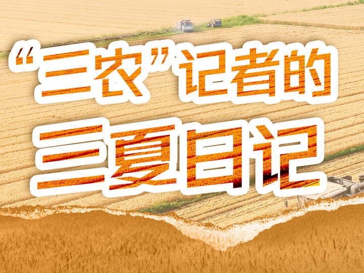 “三农”记者的三夏日记丨一个人就
