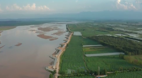 陕西大荔：黄河岸边万亩荷田