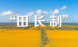 榆林全面建立耕地保护田长制