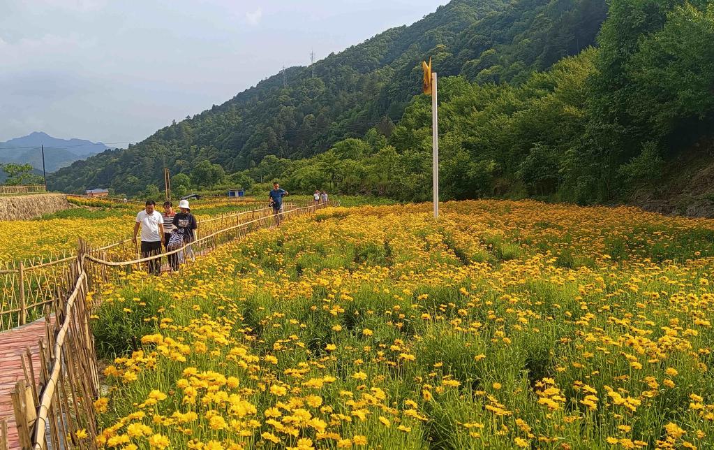 陕西佛坪：红色山村端牢旅游“饭碗”