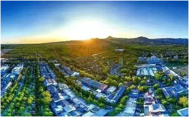 陕西礼泉：“一村一品”助推基层清廉建设