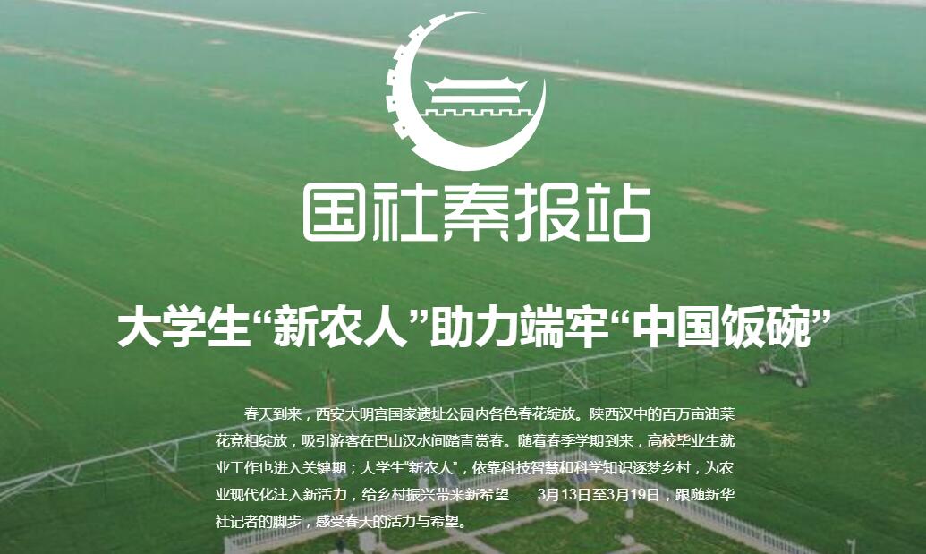 国社秦报站丨大学生“新农人”助力端牢“中国饭碗”