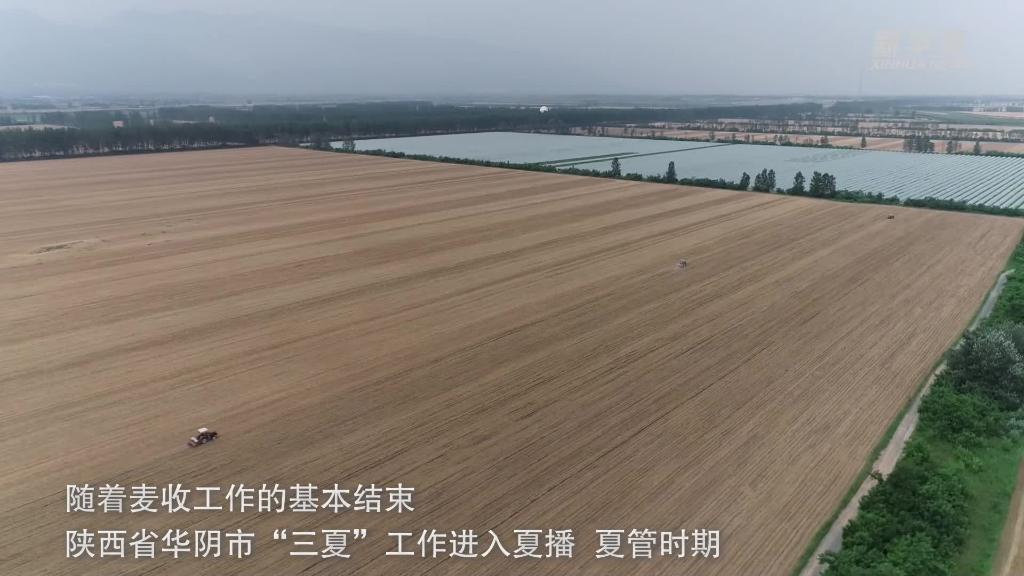 陕西华阴:农技服务助力夏播高效开展