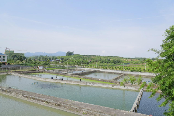 好水出好鱼 杨凌智慧铺就秦巴山区振兴路